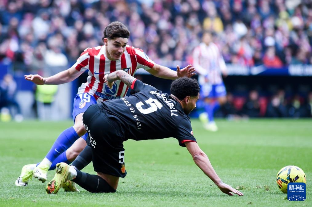 浙风席卷！浙江财经大学新王登基
